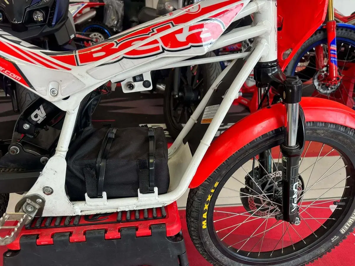 Betamotor Minitrial Electric 16" (2014 - 26) (14)