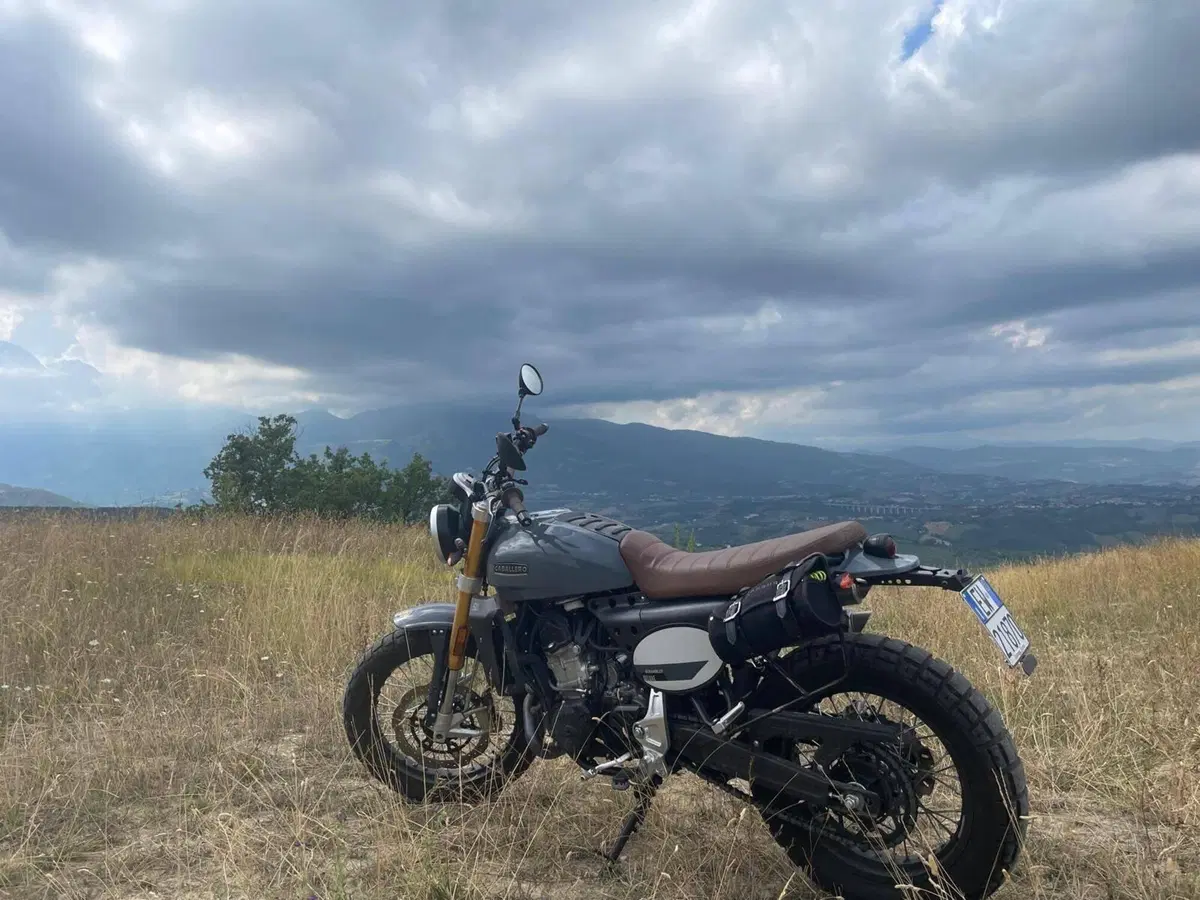 Fantic Motor Caballero 500 Scrambler Deluxe (2021 - 23) (4)