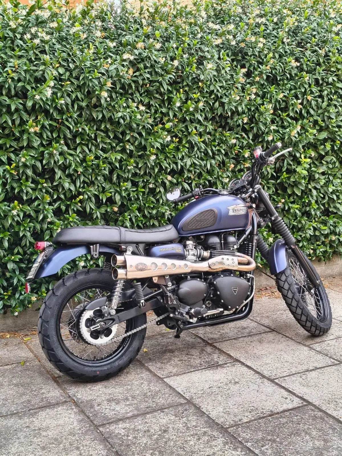 Triumph Scrambler (2006 - 17)
