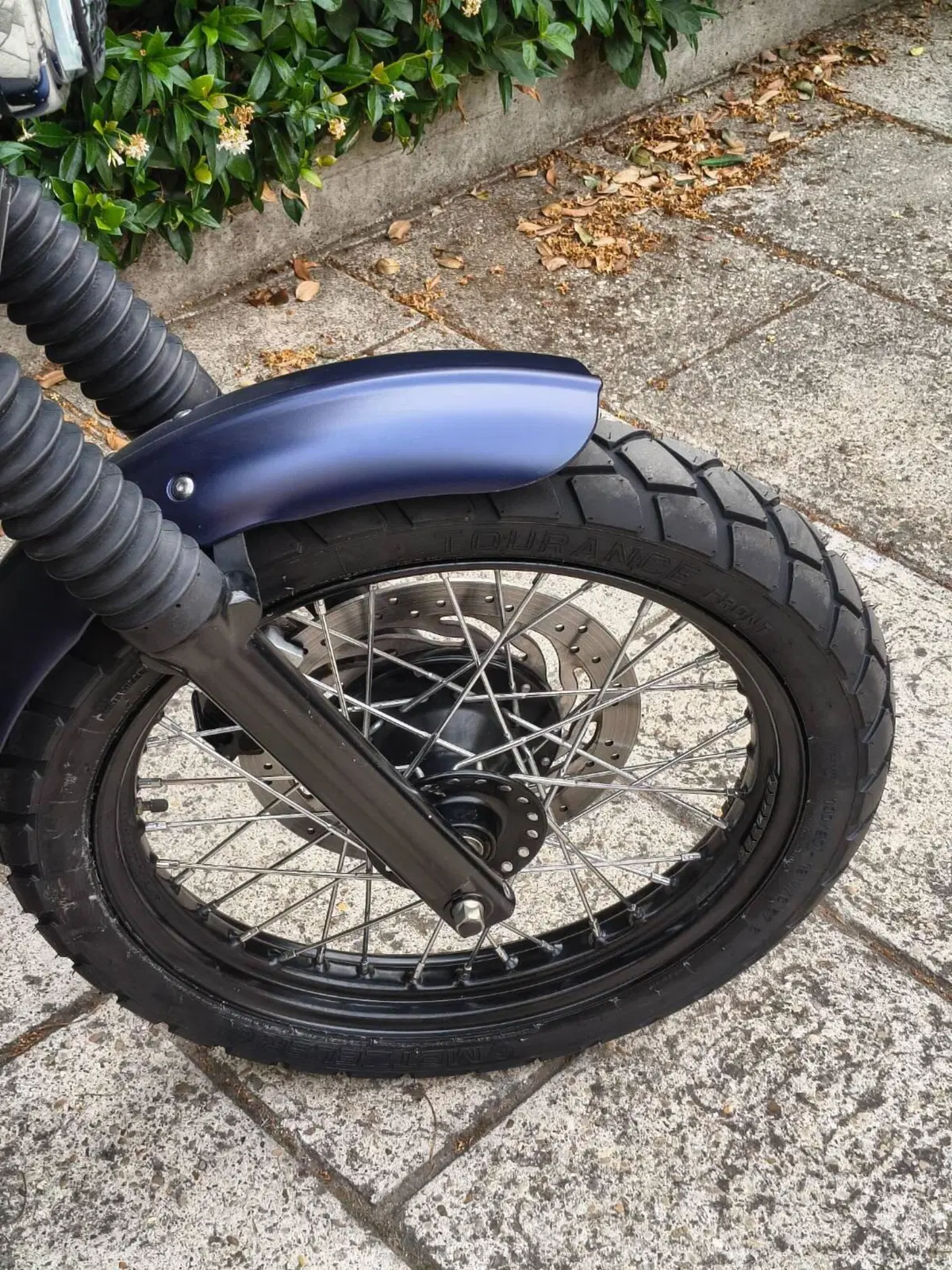 Triumph Scrambler (2006 - 17) (3)