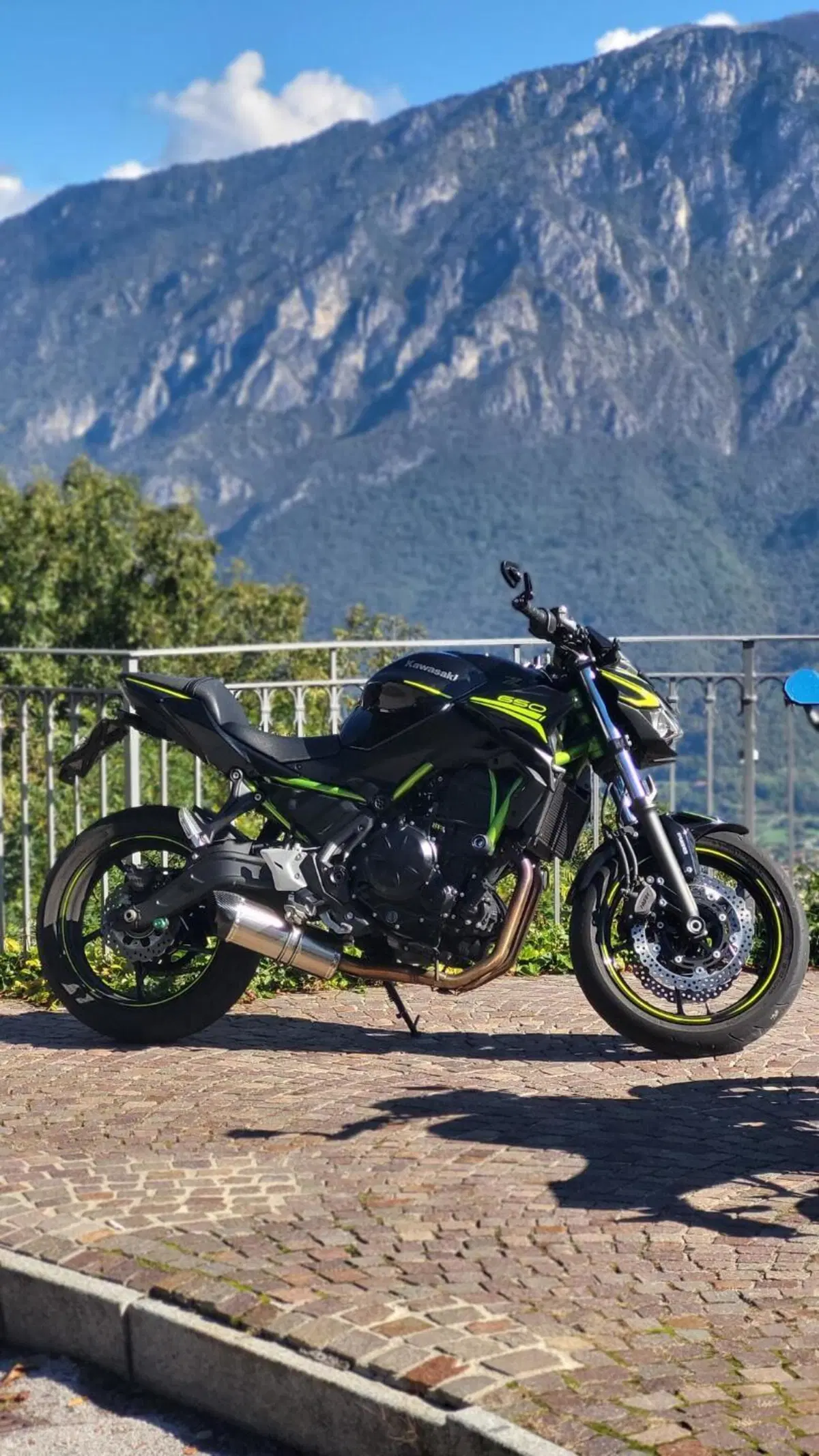 Kawasaki Z 650 Performance (2020) (3)
