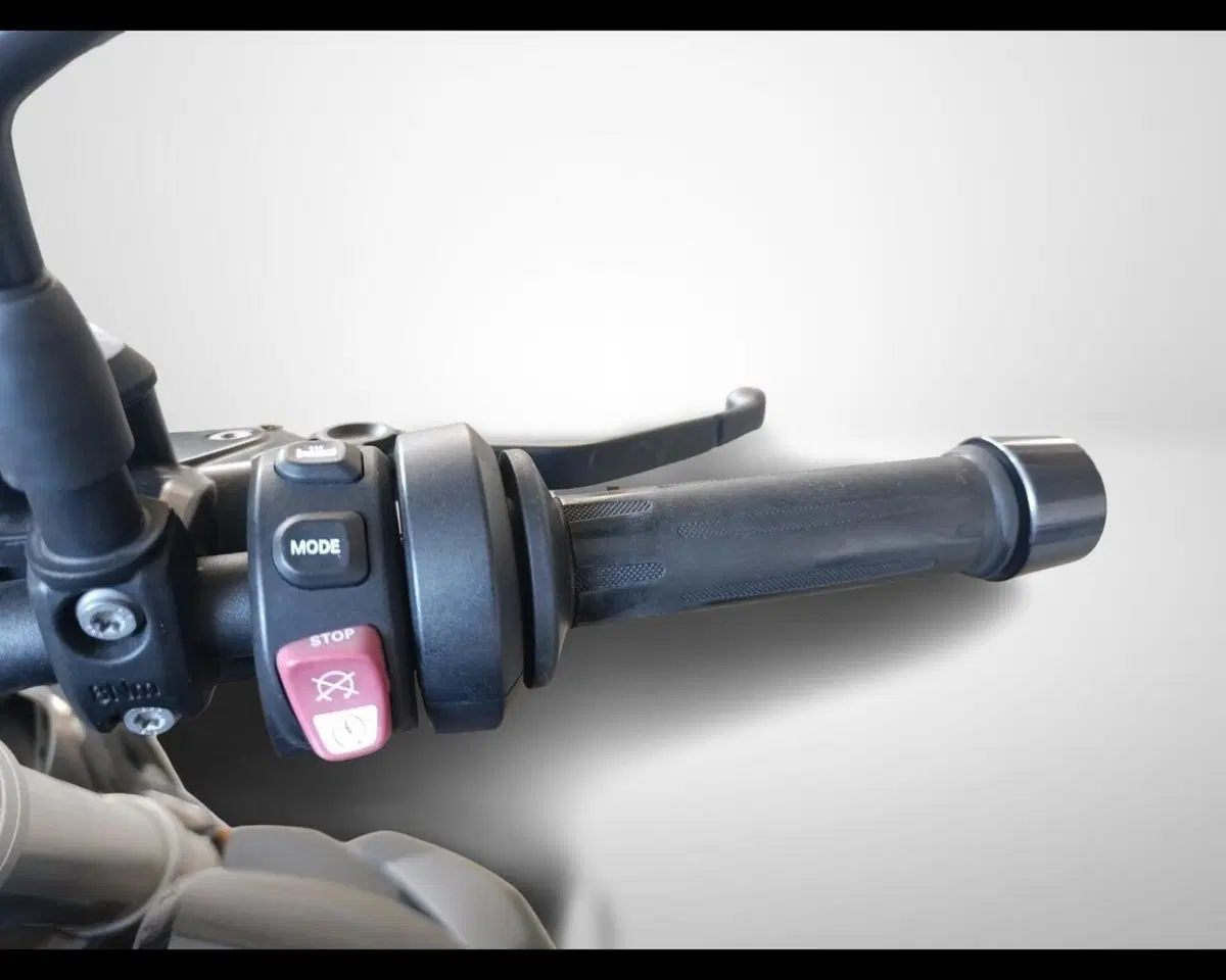 Bmw R 1250 R (2019 - 20) (11)