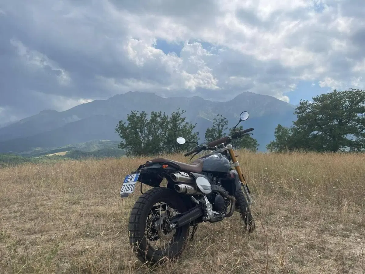 Fantic Motor Caballero 500 Scrambler Deluxe (2021 - 23) (6)