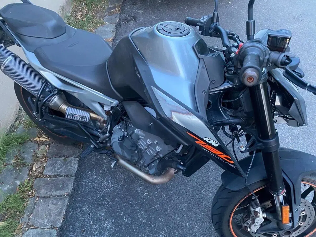 KTM 790 Duke L (2019 - 20) (10)