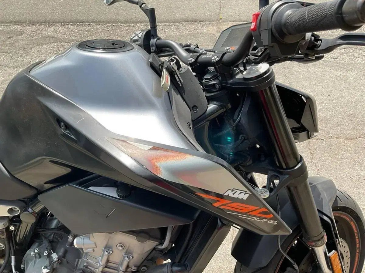 KTM 790 Duke L (2019 - 20) (14)