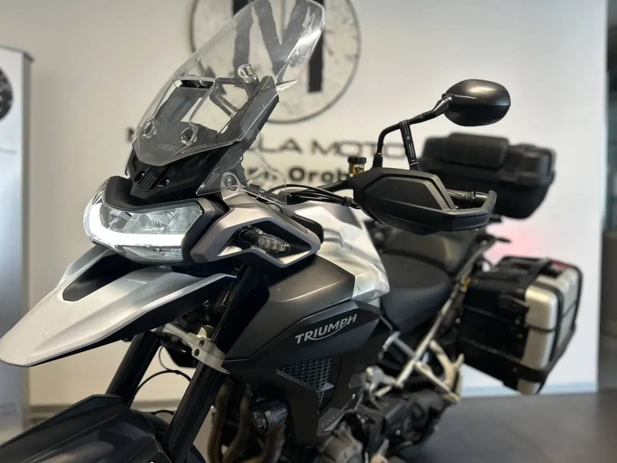 Triumph Tiger 1200 GT Pro (2022 - 23) (6)
