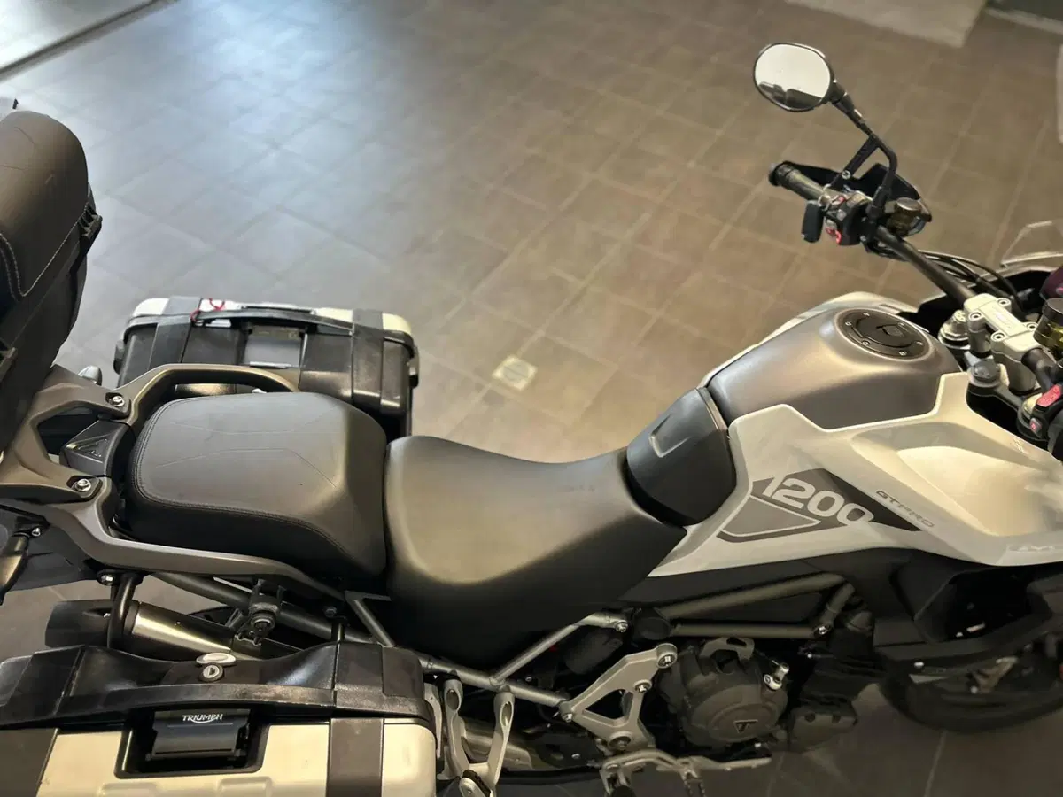 Triumph Tiger 1200 GT Pro (2022 - 23) (9)