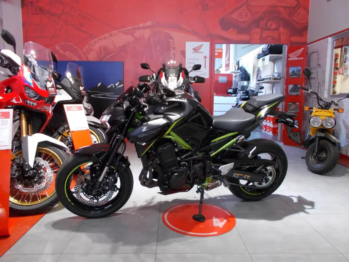 Kawasaki Z 900 A2 Performance (2021 - 24) (3)