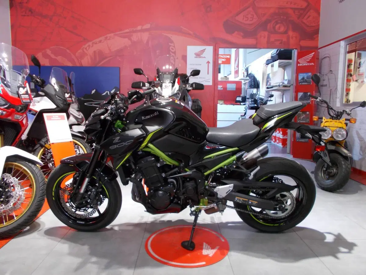 Kawasaki Z 900 A2 Performance (2021 - 24) (4)