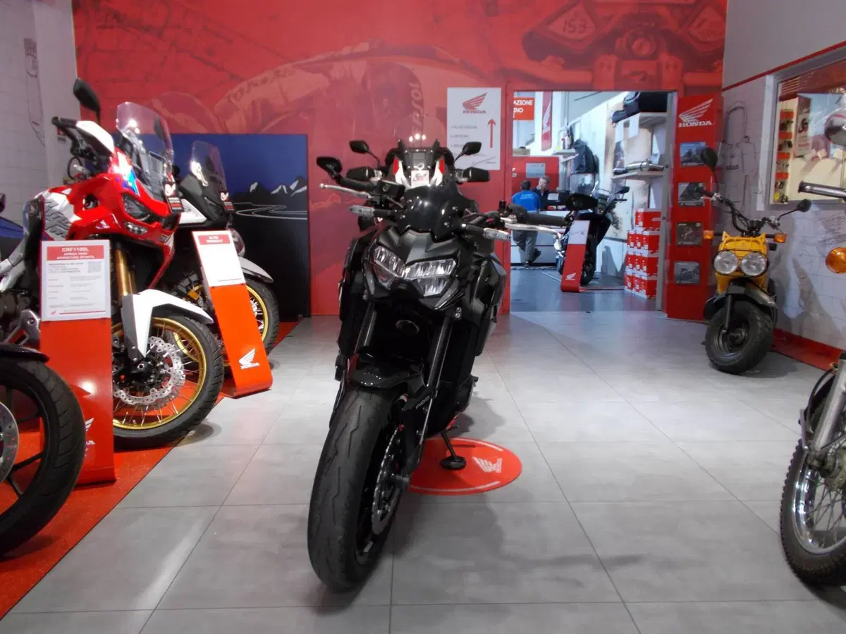Kawasaki Z 900 A2 Performance (2021 - 24) (6)