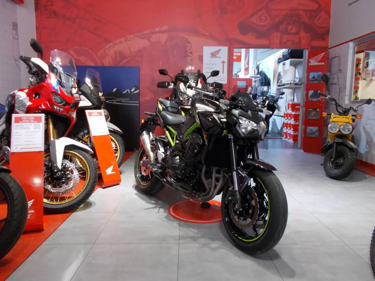 Kawasaki Z 900 A2 Performance (2021 - 24) (7)