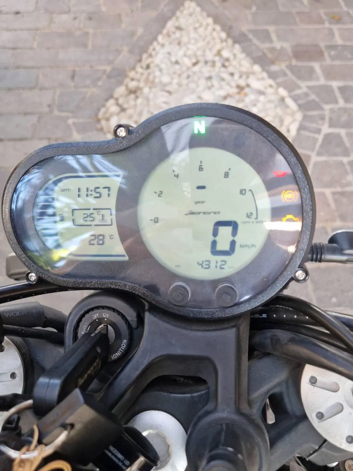 Benelli Leoncino 500 ABS (2017 - 20) (6)