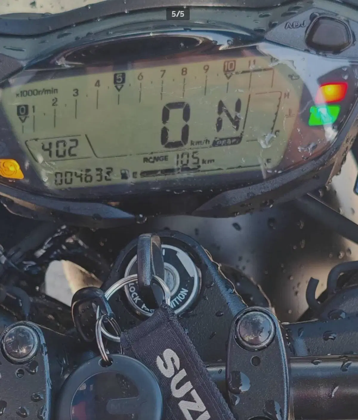 Suzuki SV650 (2021 - 24) (5)