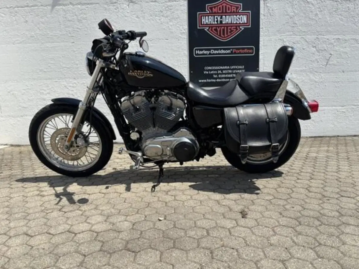 Harley-Davidson 883 Low (2008 - 12) - XL 883L (2)