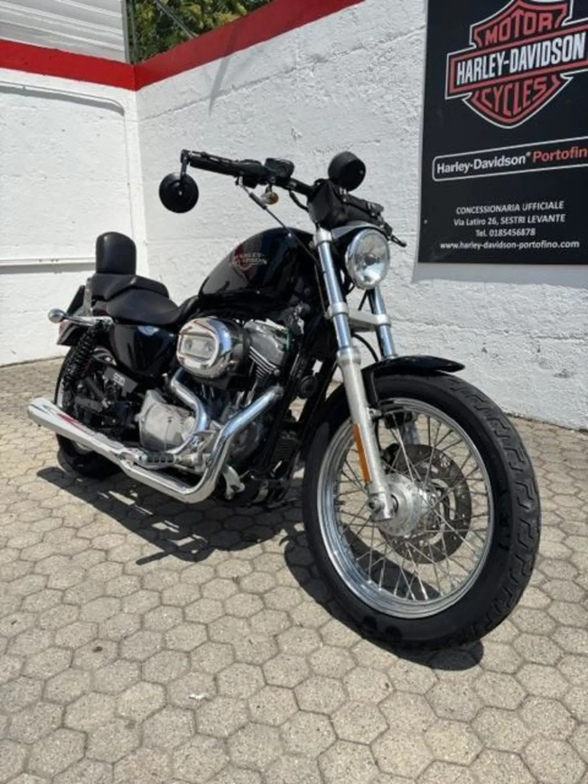 Harley-Davidson 883 Low (2008 - 12) - XL 883L (3)