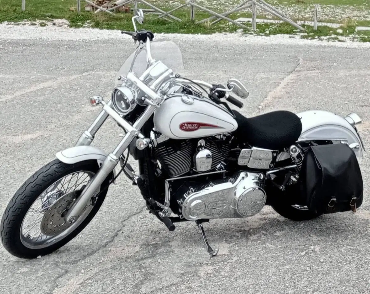 Harley-Davidson 1584 Low Rider (2007 - 08) - FXDL (2)