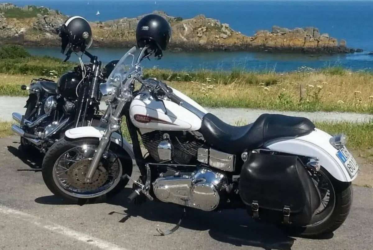 Harley-Davidson 1584 Low Rider (2007 - 08) - FXDL (3)