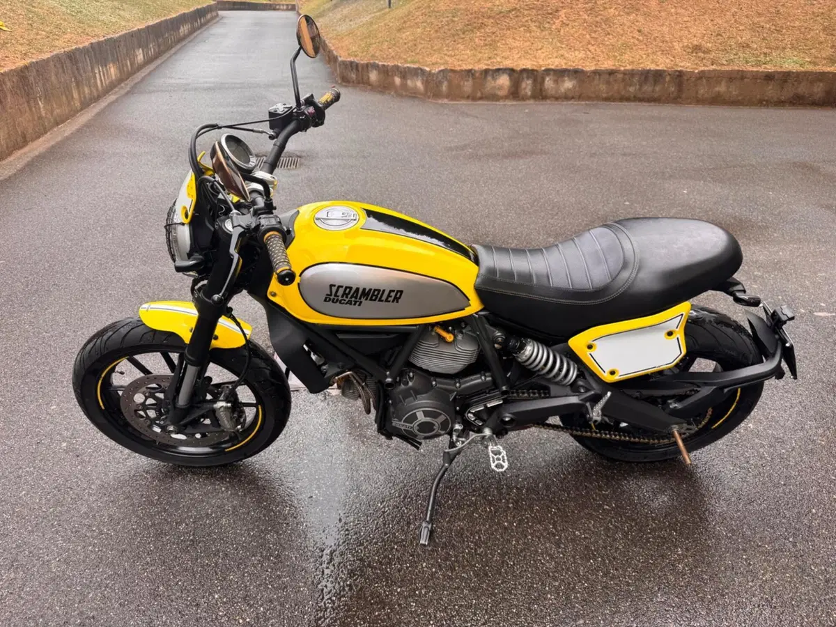 Ducati Scrambler 800 Flat Track Pro (2016 - 17) (2)