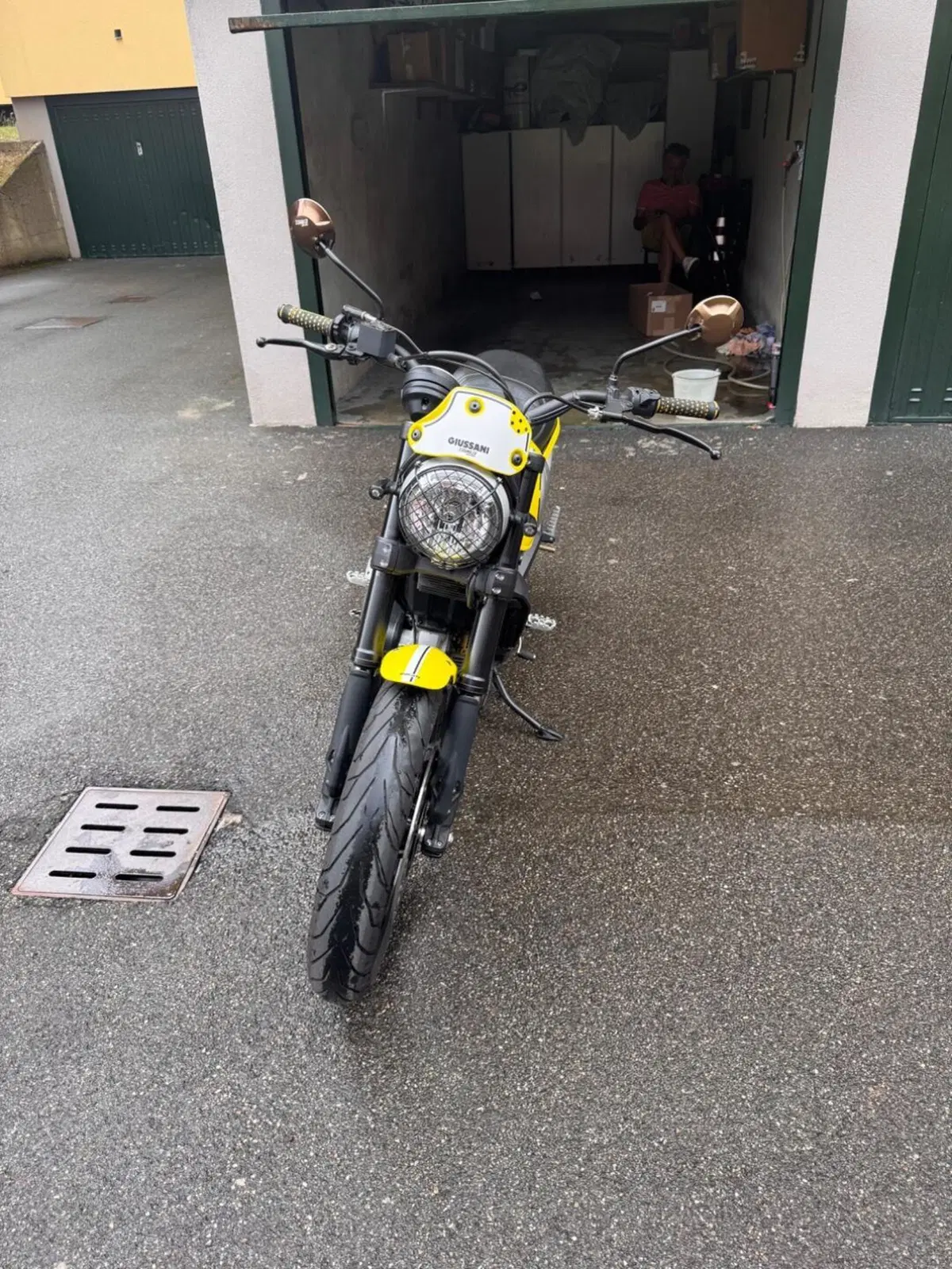 Ducati Scrambler 800 Flat Track Pro (2016 - 17) (3)