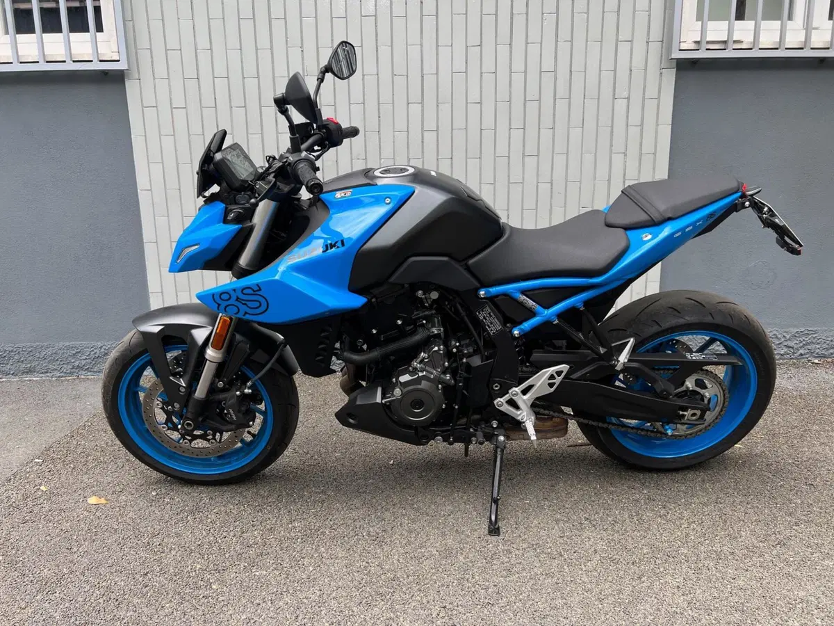 Suzuki GSX-8S (2025 - 26) (2)