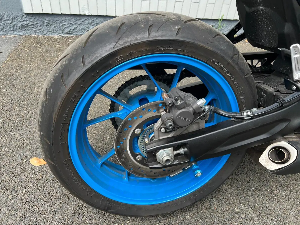 Suzuki GSX-8S (2025 - 26) (18)