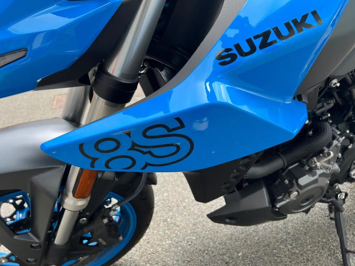 Suzuki GSX-8S (2025 - 26) (6)