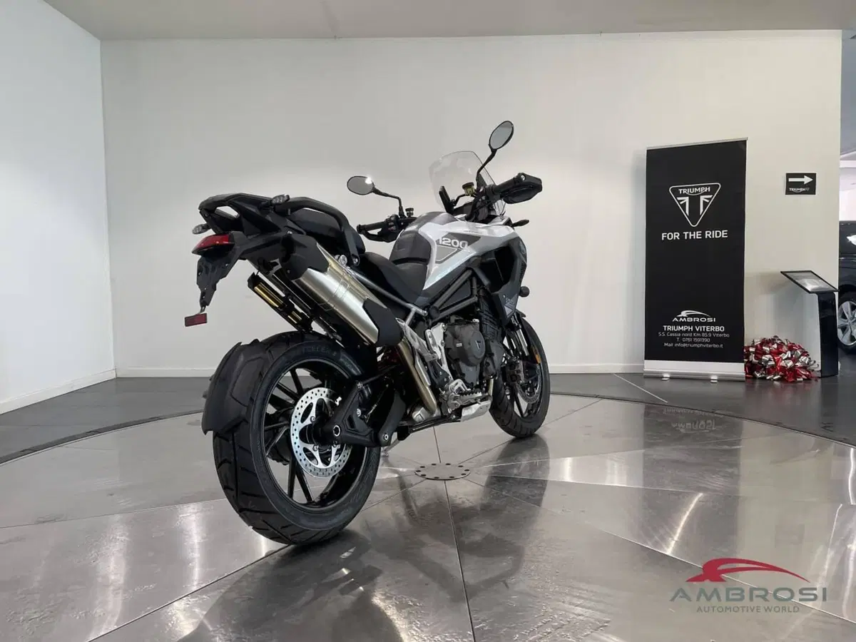 Triumph Tiger 1200 GT Pro (2022 - 23) (3)