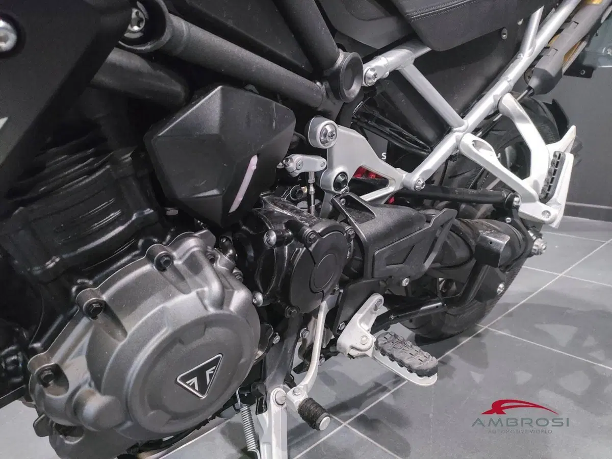 Triumph Tiger 1200 GT Pro (2022 - 23) (8)