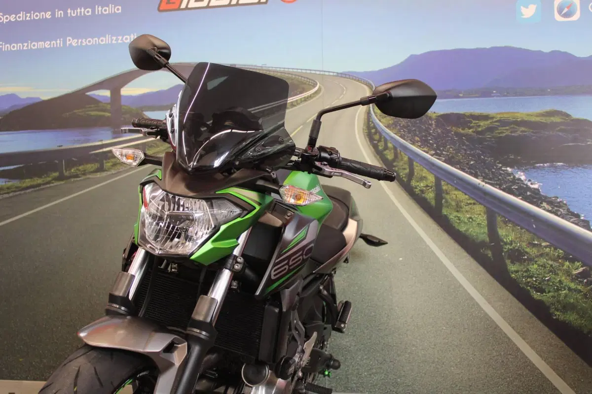 Kawasaki Z 650 (2017 - 19) (11)