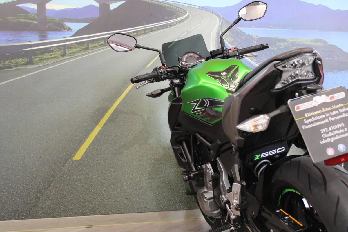 Kawasaki Z 650 (2017 - 19) (17)
