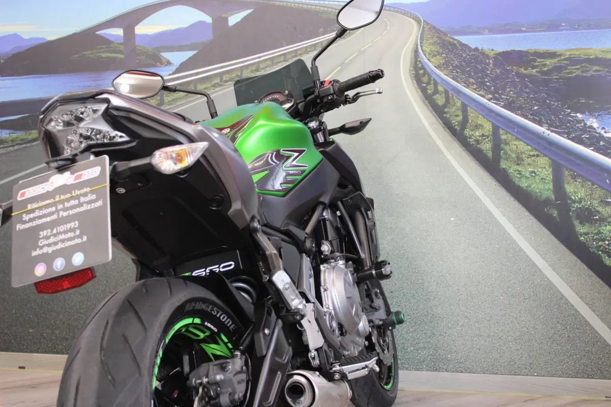 Kawasaki Z 650 (2017 - 19) (18)