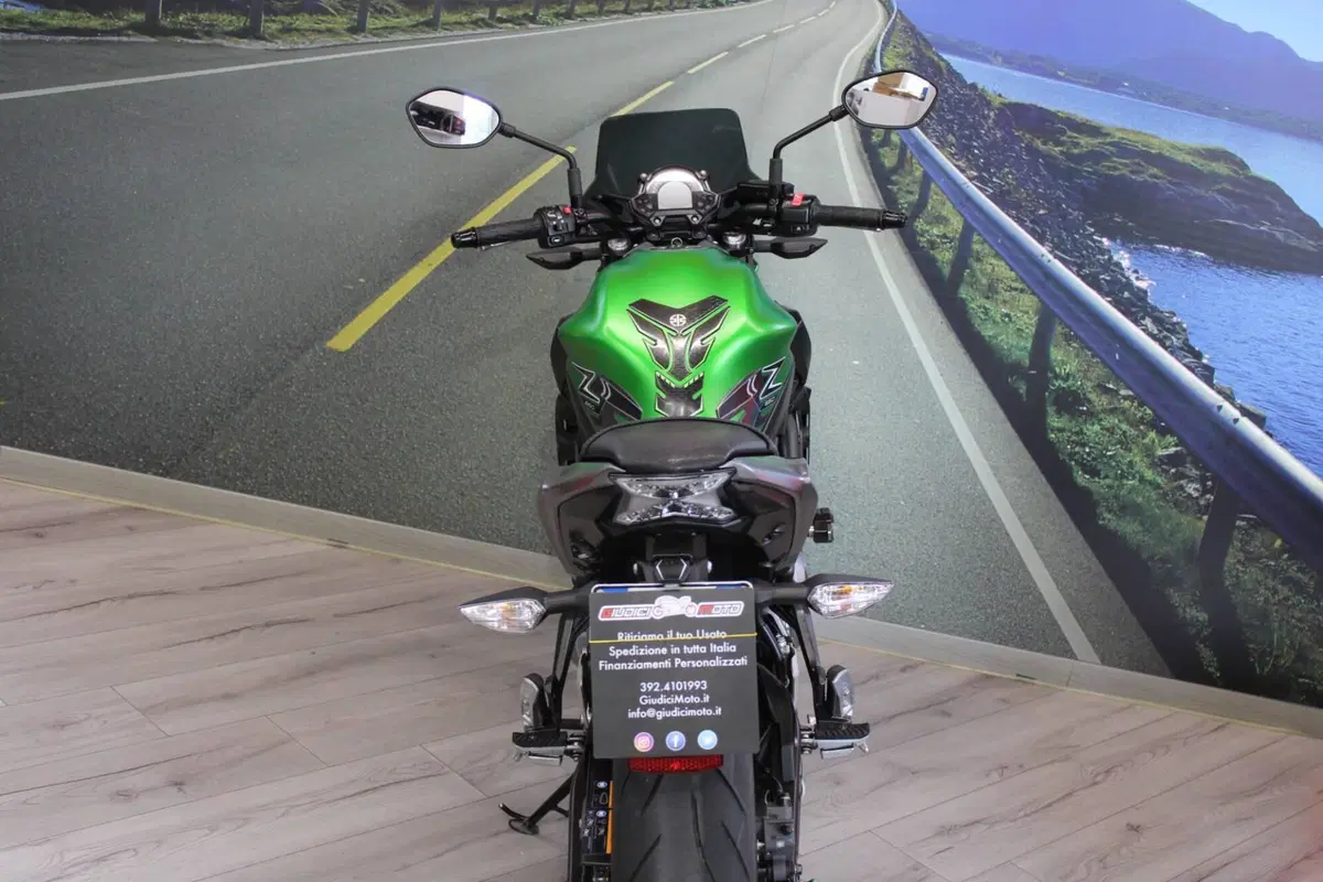 Kawasaki Z 650 (2017 - 19) (19)