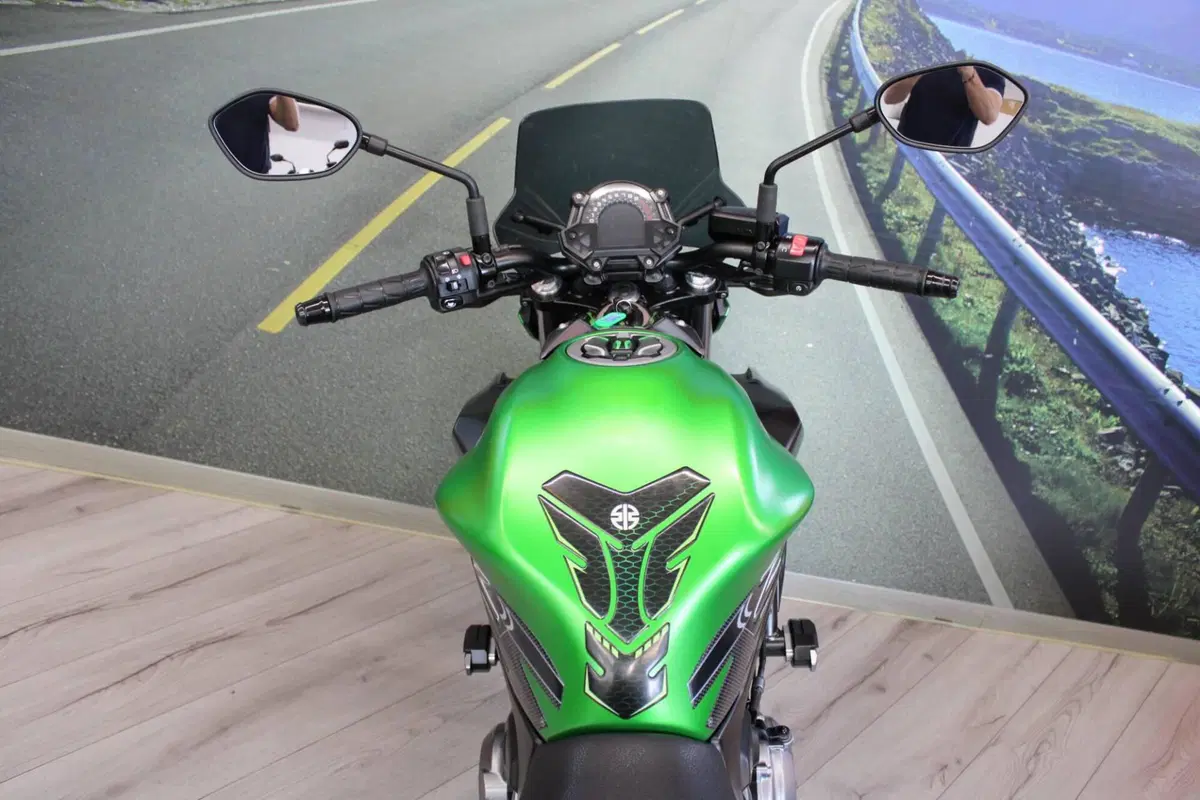 Kawasaki Z 650 (2017 - 19) (20)