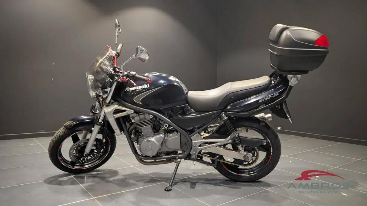 Kawasaki ER-5 500 (2001 - 06) (2)