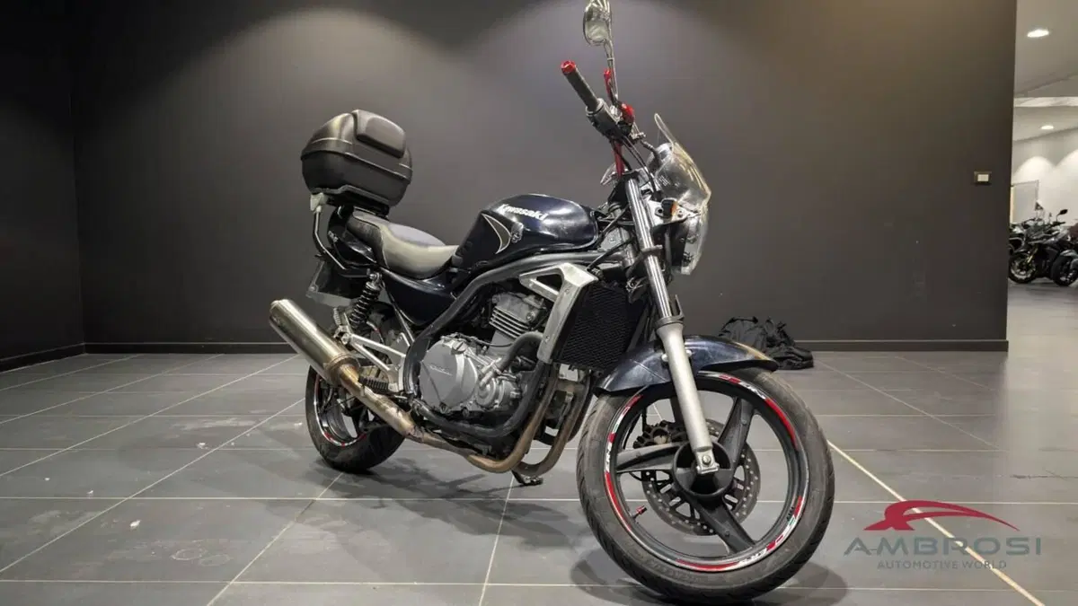 Kawasaki ER-5 500 (2001 - 06) (4)
