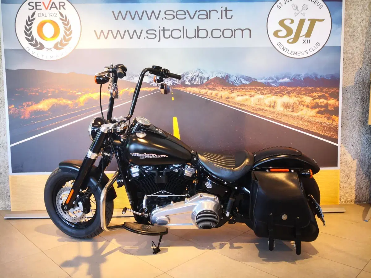 Harley-Davidson 107 Slim (2018 - 20) - FLSL (7)