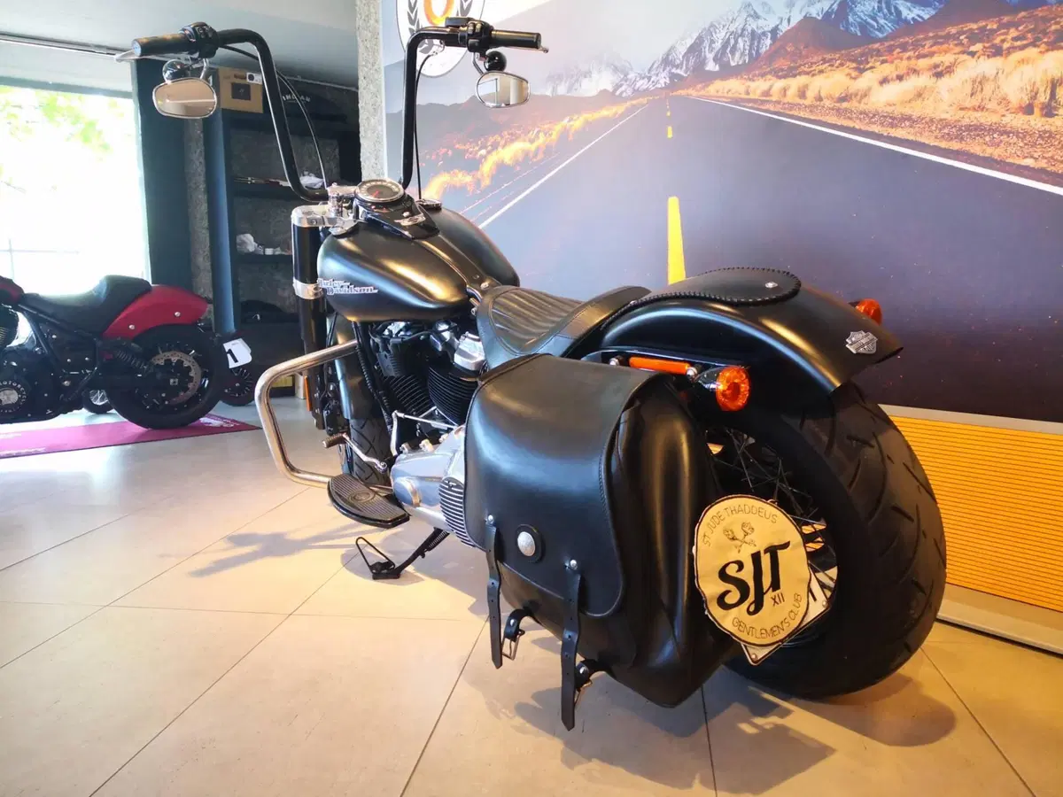 Harley-Davidson 107 Slim (2018 - 20) - FLSL (8)