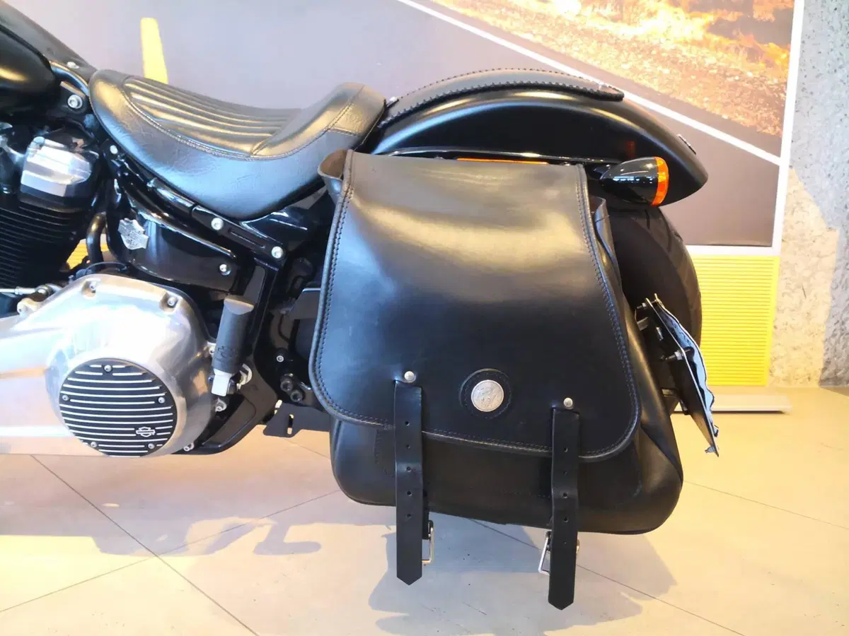 Harley-Davidson 107 Slim (2018 - 20) - FLSL (9)