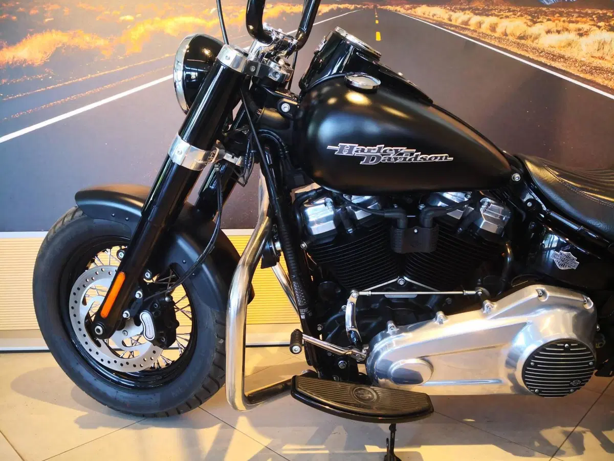 Harley-Davidson 107 Slim (2018 - 20) - FLSL (10)