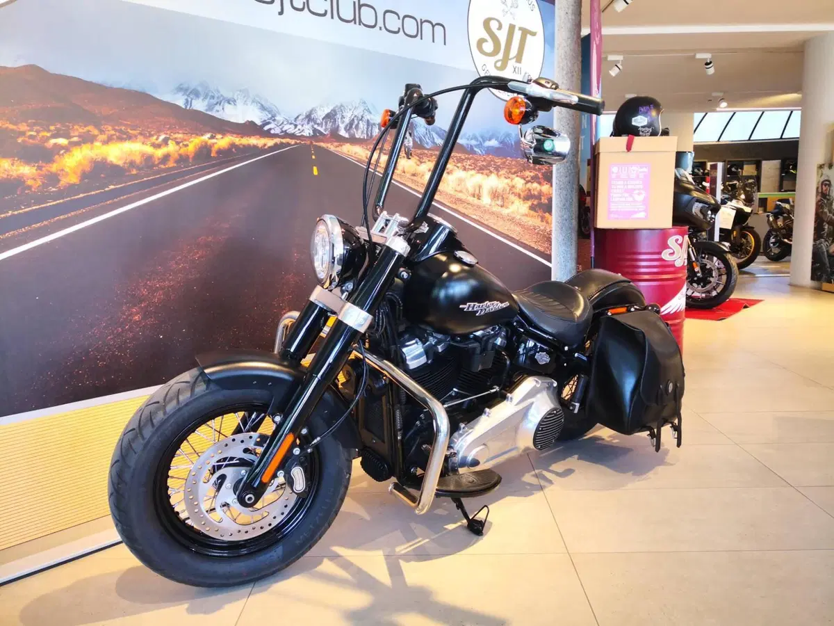 Harley-Davidson 107 Slim (2018 - 20) - FLSL (11)