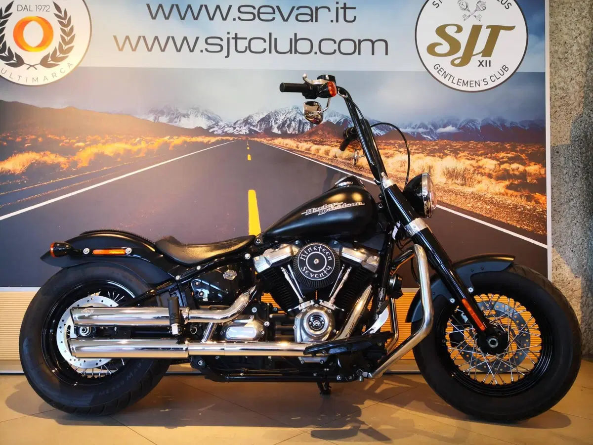 Harley-Davidson 107 Slim (2018 - 20) - FLSL
