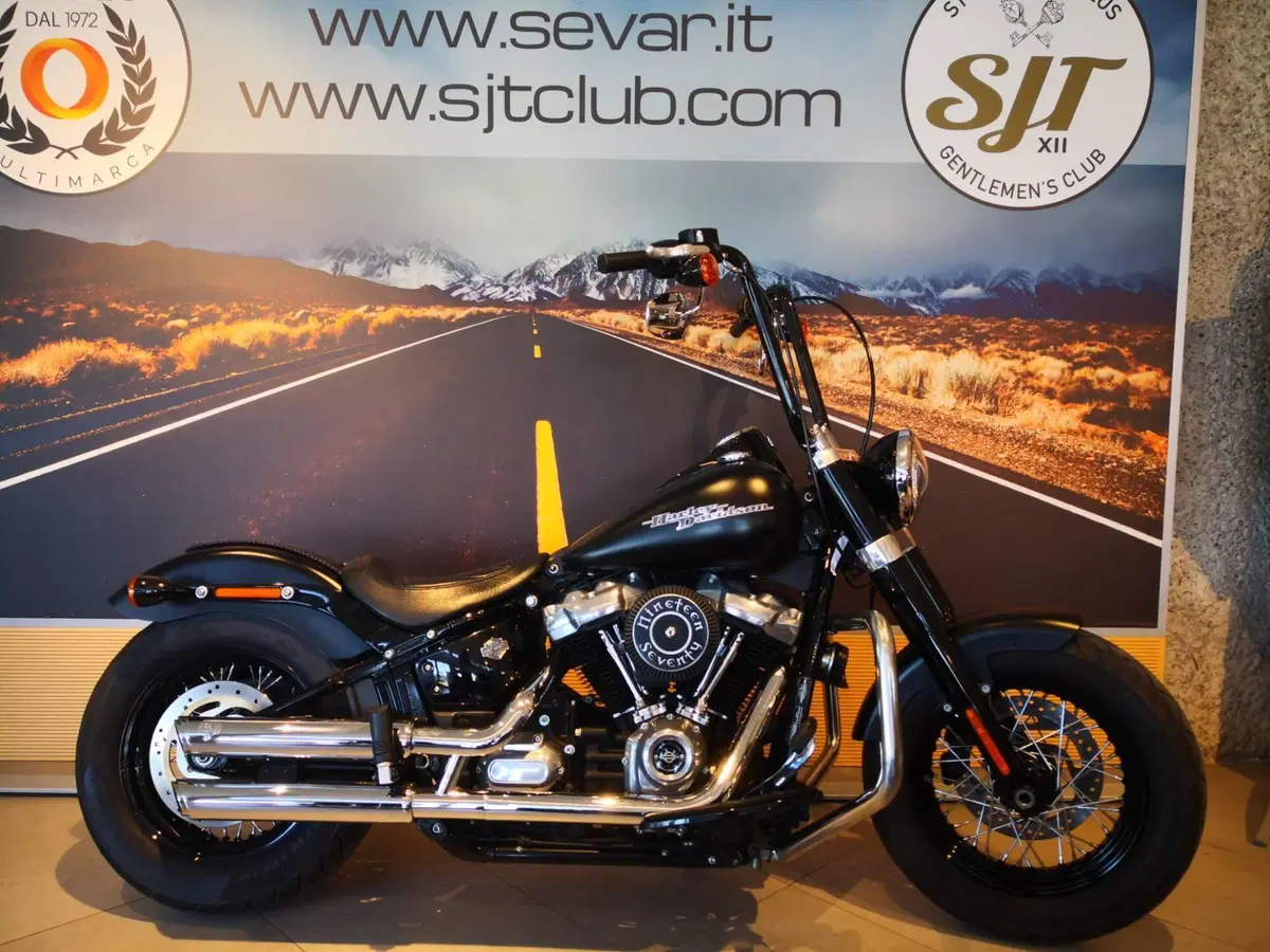 Harley-Davidson 107 Slim (2018 - 20) - FLSL (2)