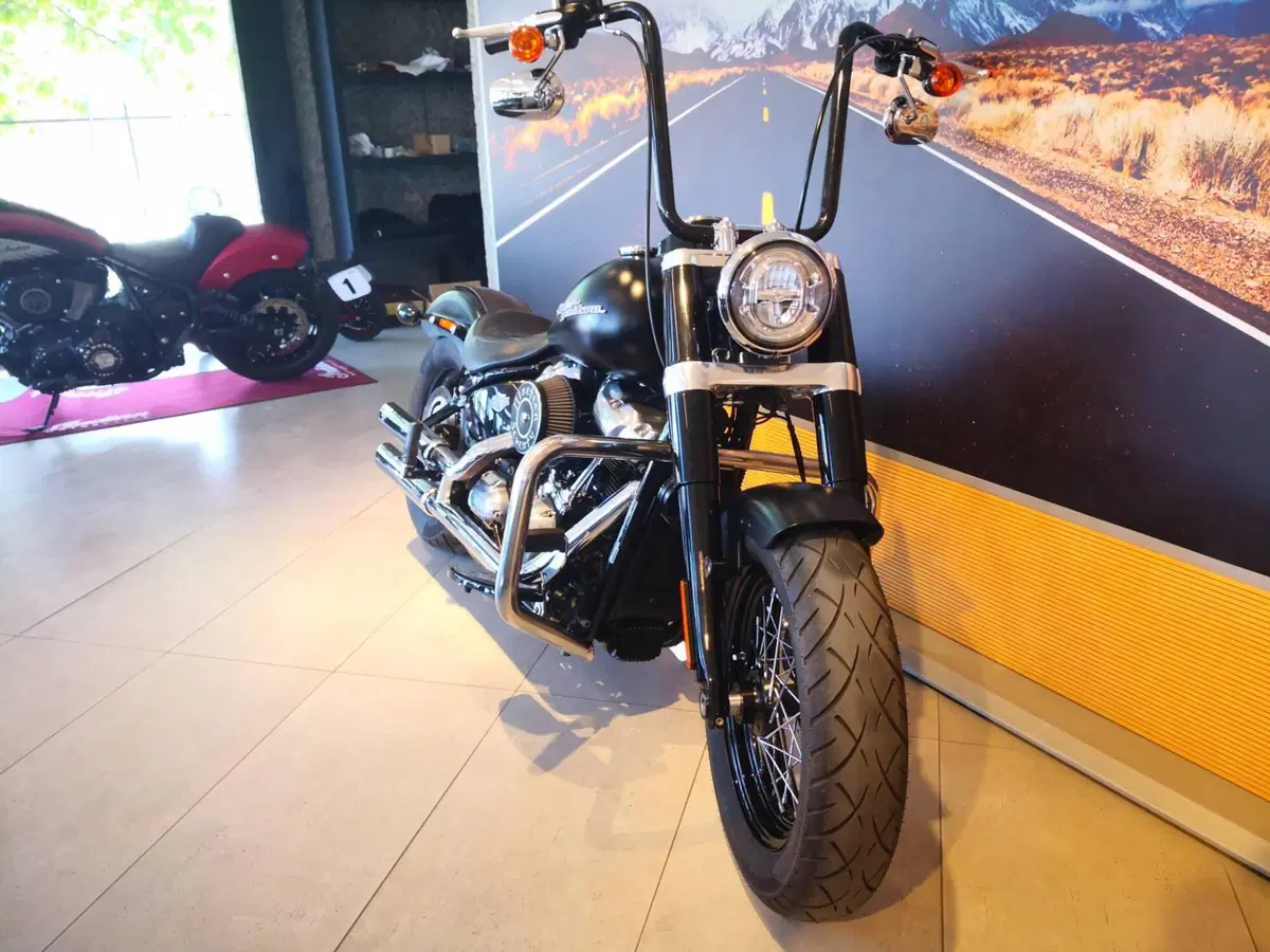 Harley-Davidson 107 Slim (2018 - 20) - FLSL (12)