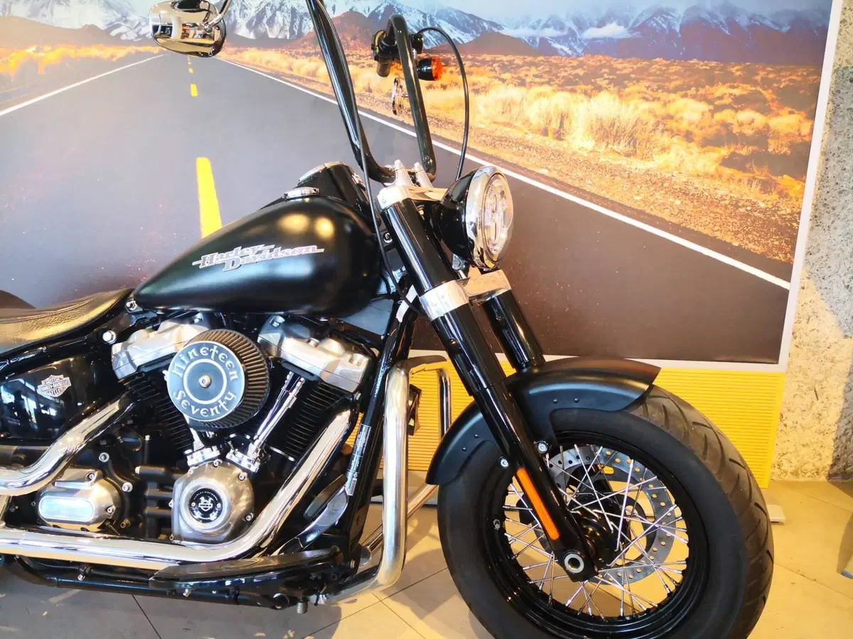 Harley-Davidson 107 Slim (2018 - 20) - FLSL (3)