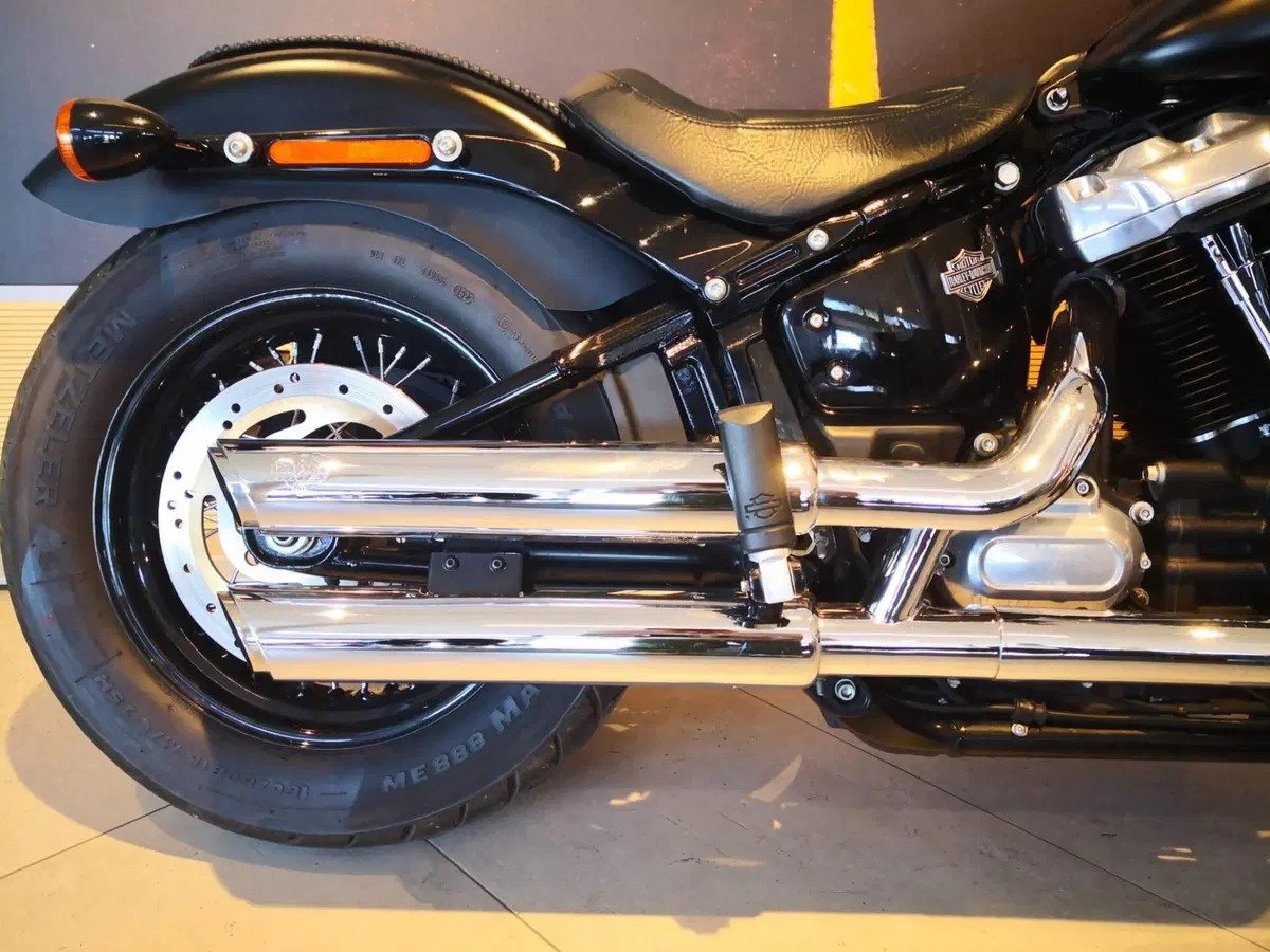 Harley-Davidson 107 Slim (2018 - 20) - FLSL (4)