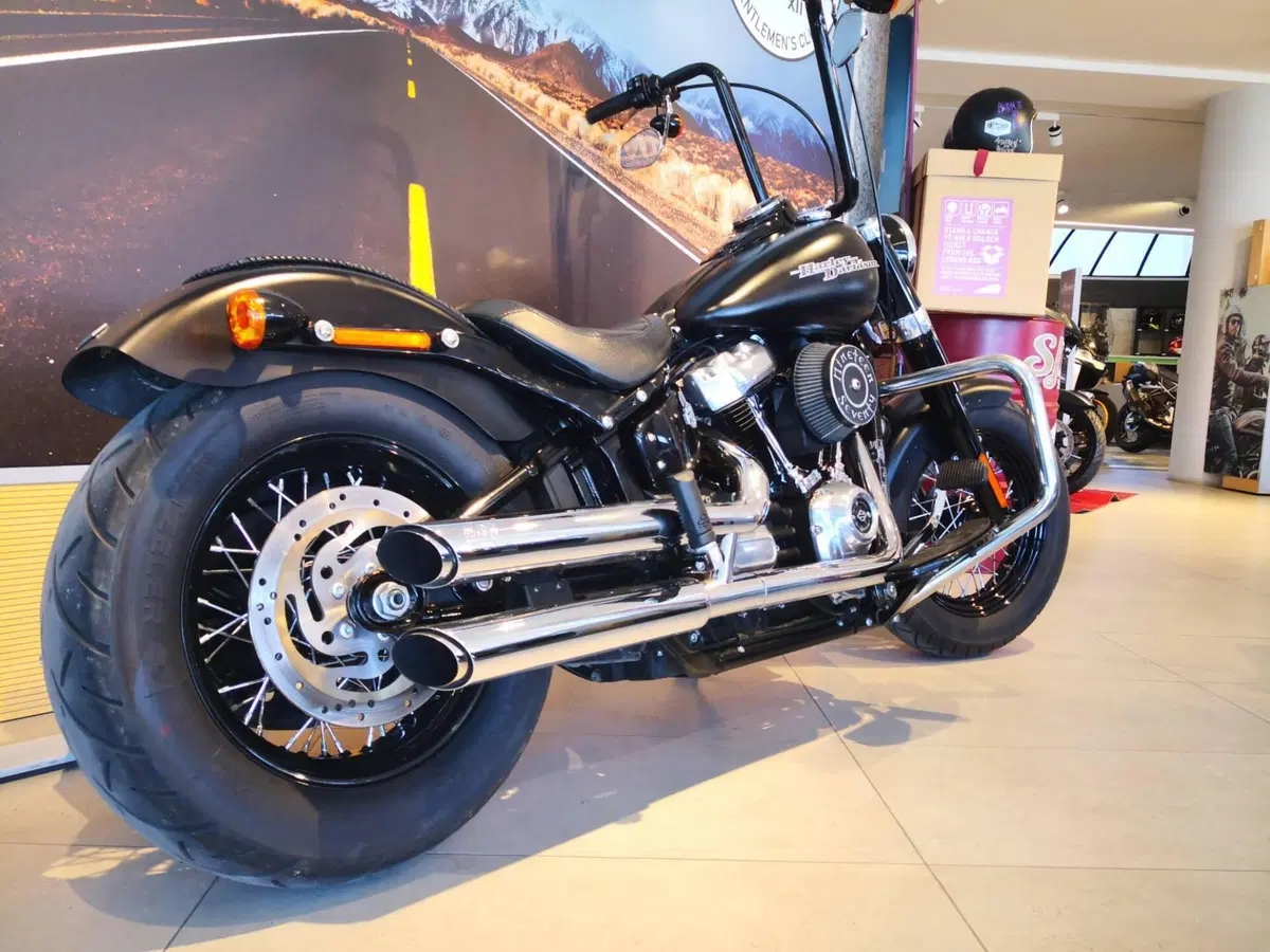 Harley-Davidson 107 Slim (2018 - 20) - FLSL (5)