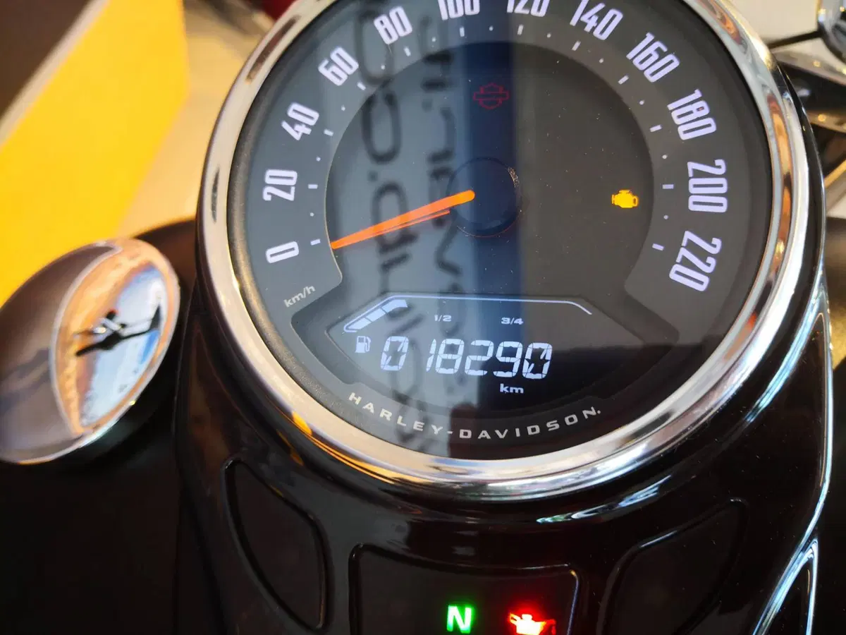 Harley-Davidson 107 Slim (2018 - 20) - FLSL (6)