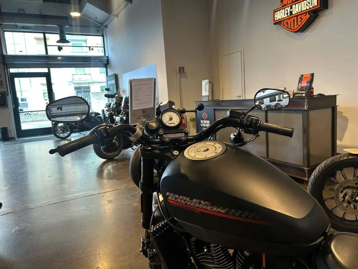 Harley-Davidson 1200 XR X (2010 - 12) (2)