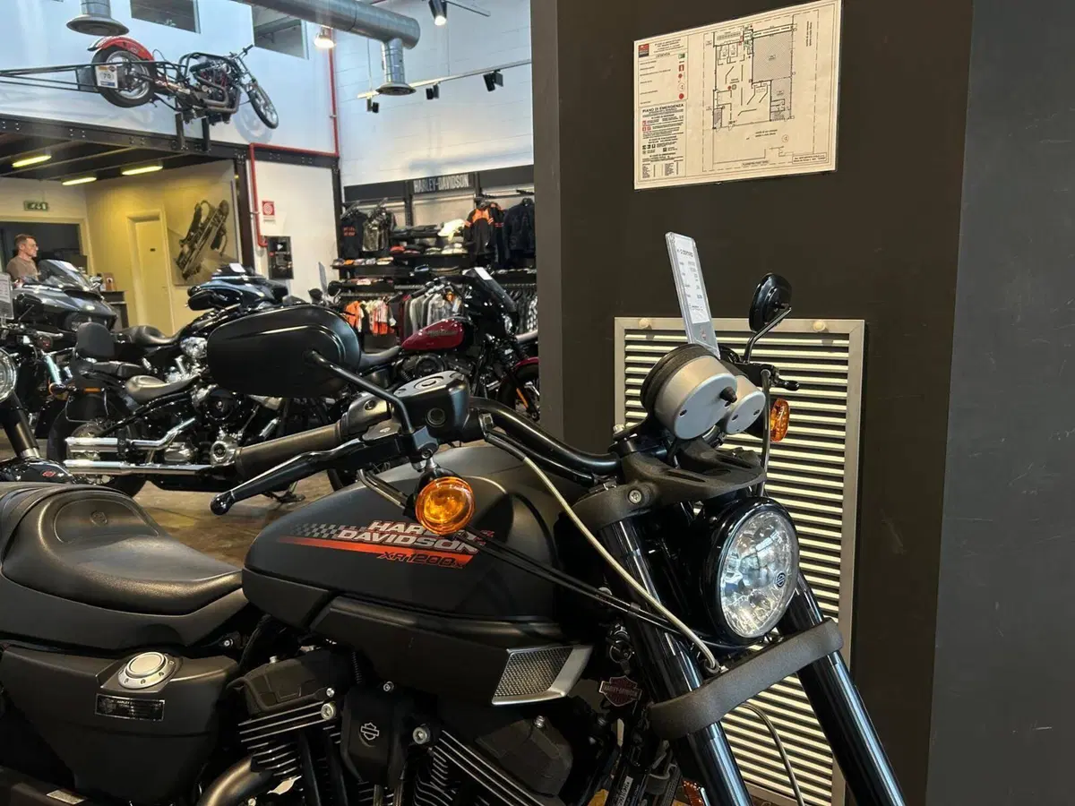 Harley-Davidson 1200 XR X (2010 - 12) (3)