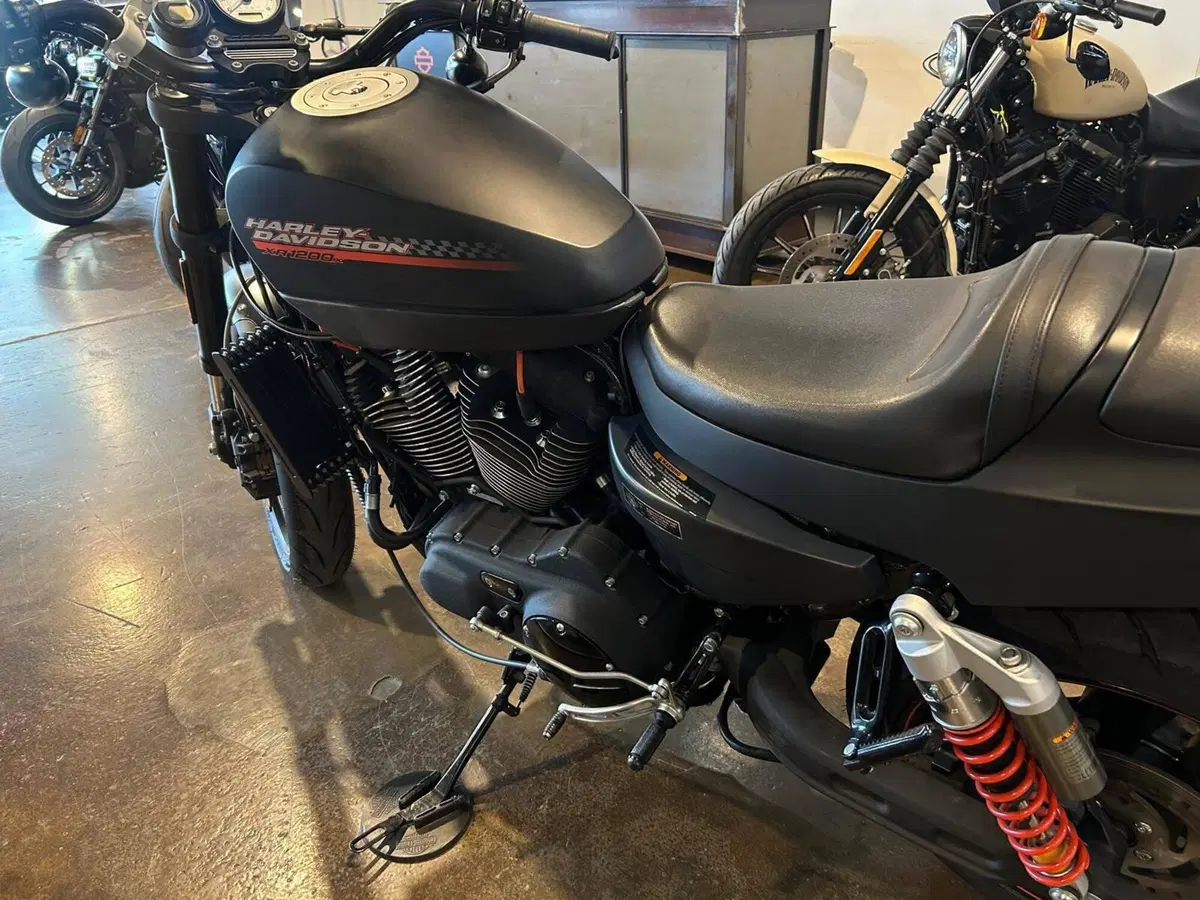 Harley-Davidson 1200 XR X (2010 - 12) (4)
